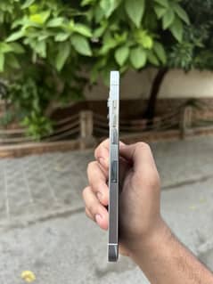 iPhone 12 Pro Max pta approved