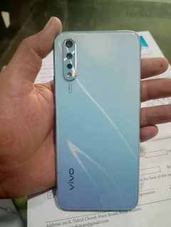 vivo