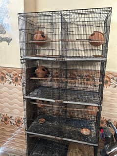 birds cage