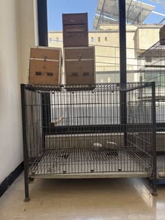 Cages