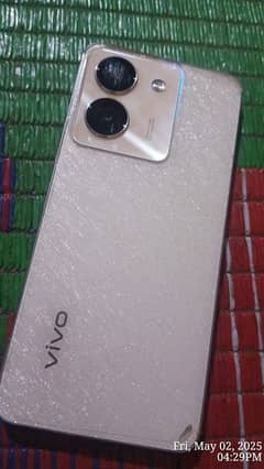 VIVO