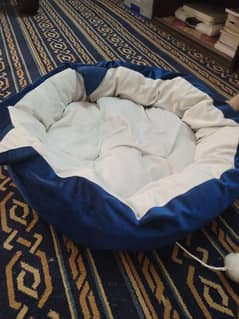 cat bed and hammock