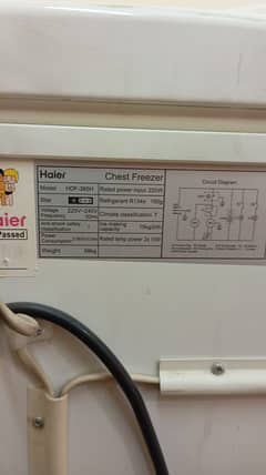 BRAND,HAIER