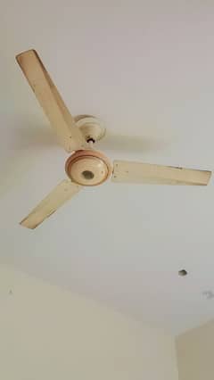 Ceiling Fan