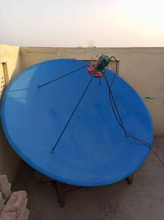 Dish