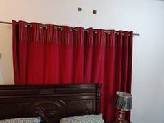 two mahroon curtains