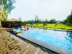 swimming pool for rent in Lahore & farm house for rent & farmhouse