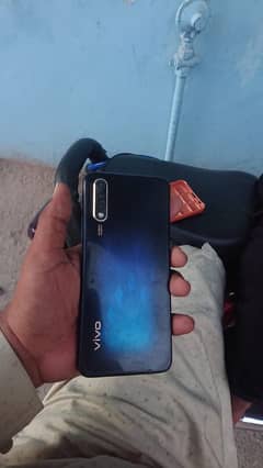 vivo