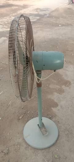 Fan