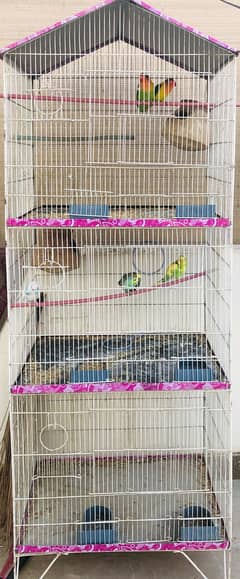 Cage for Birds (Birds included)