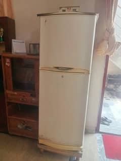 waves freezer