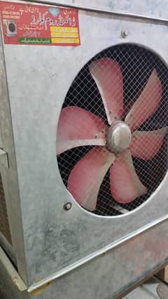 Cooler