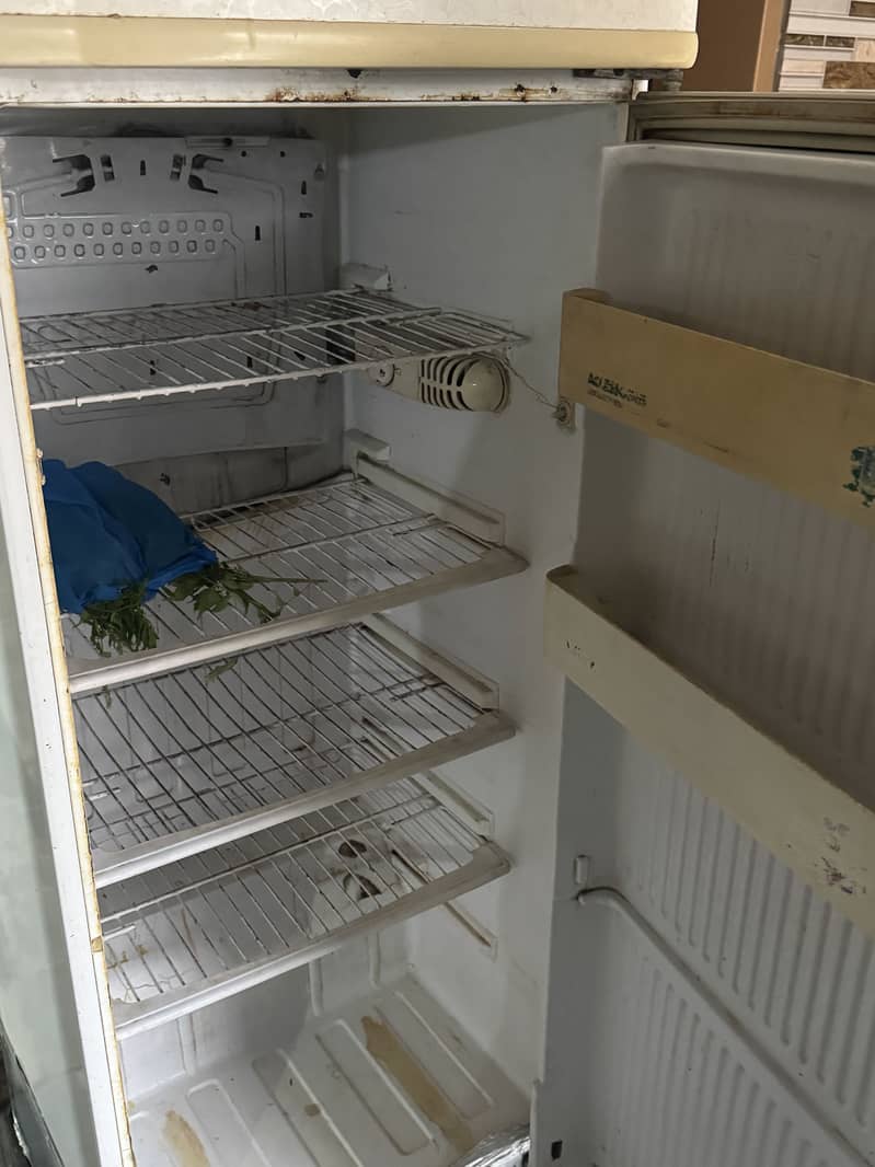 2nd Hand Peel Fridge 1