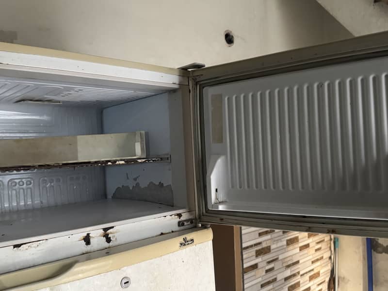 2nd Hand Peel Fridge 5