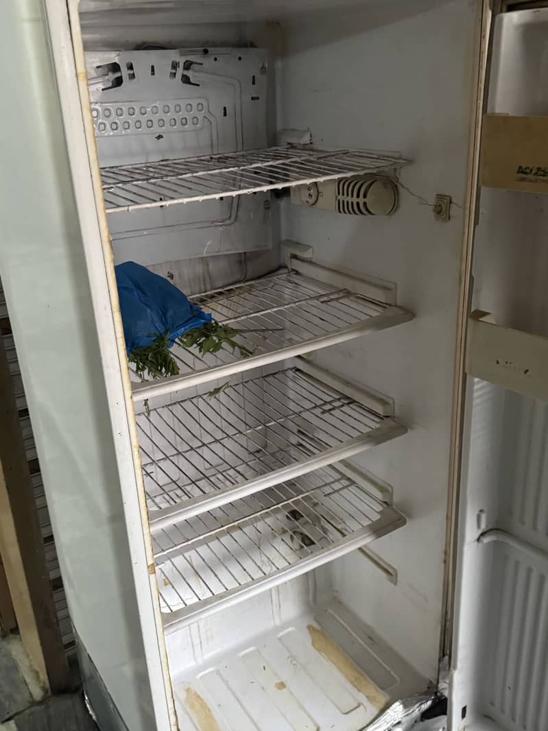 2nd Hand Peel Fridge 6