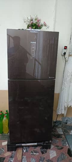 Haier