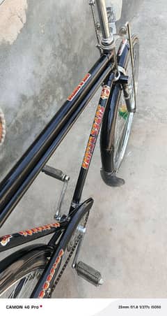 biycles