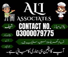 Maid provider agency/Nurse/Nanny/Patient attendant/Babysitter/Cook/