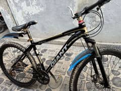 GIANT CYCLE