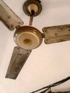 Ceiling Fans