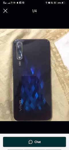 vivo