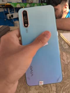 Vivo