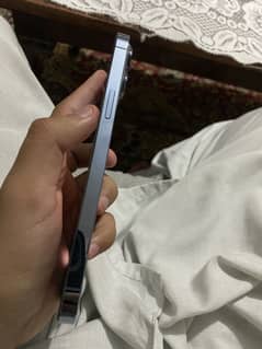 Iphone 13 pro max pta approved