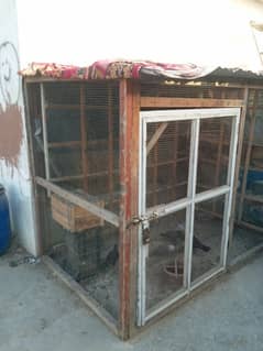 cage 6 by 6