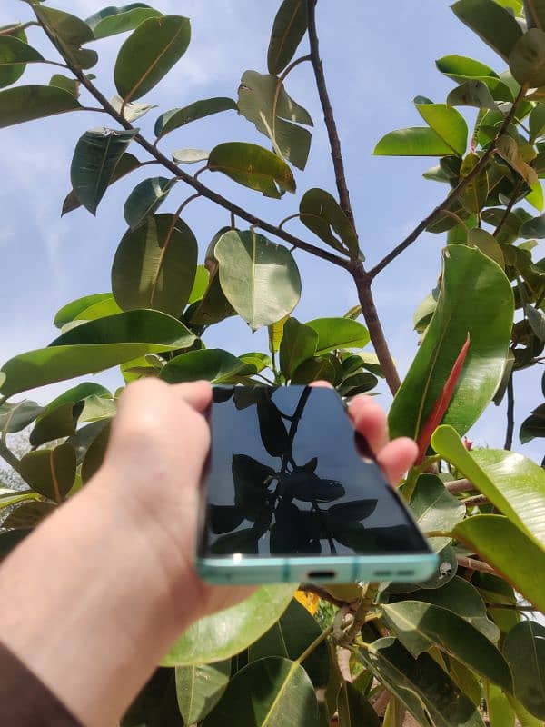 oneplus 8pro dual sim 12/256 android version 13 4