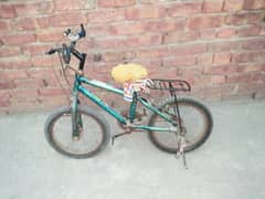 cycle for ten years
