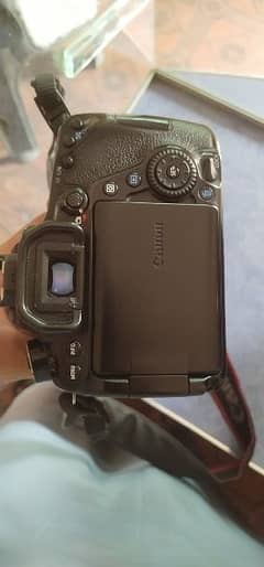 Canon 80d with usm lense