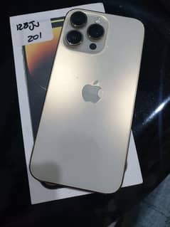 14pro