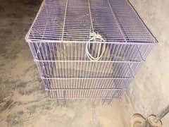 parrot cage