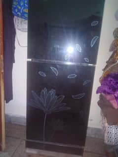 PELL Medium Size Fridge 2017