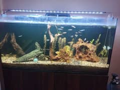 Sump