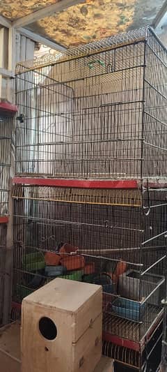 cages