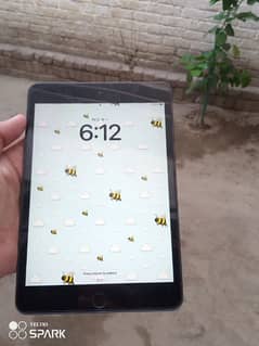 iPad mini 5