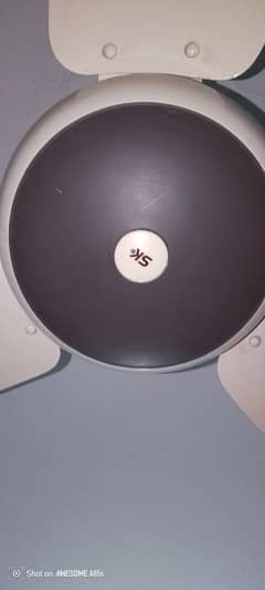 fans