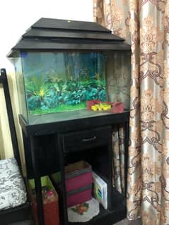 fish