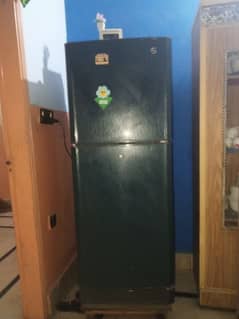 pel refrigerator urgent sale