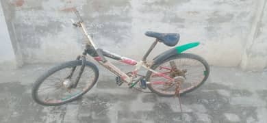 Cycle