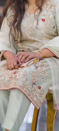 pista color organza zari work