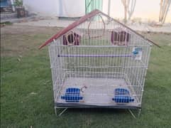 Parrot