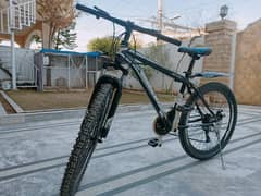Bicycle-Lazer-Star