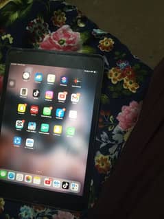 iPad mini 5 sa box 64gb exchange