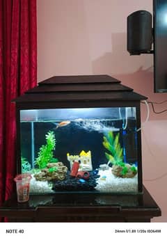aquarium