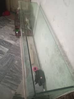 counter mirror