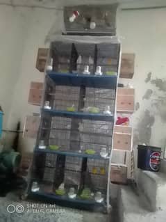 bredar pair with baby's full setup