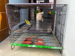 Cage for sale 03101091311