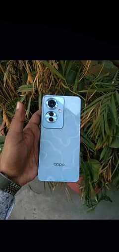 Oppoe reno 11F 5g 12/256